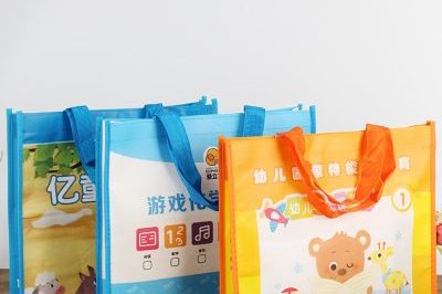 Custom Printable Logo Fabric Non-Woven Bag (1)