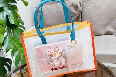 Fashion Jelly Beach Bag (5)