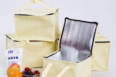 Ice Cream Cooler & Lunch Bags (4)