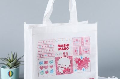 Laminated Three-Dimensional Non-Woven Bag (1)