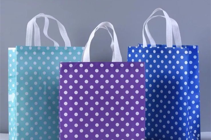 Manufacturer Customized Non-Woven Bags (3)