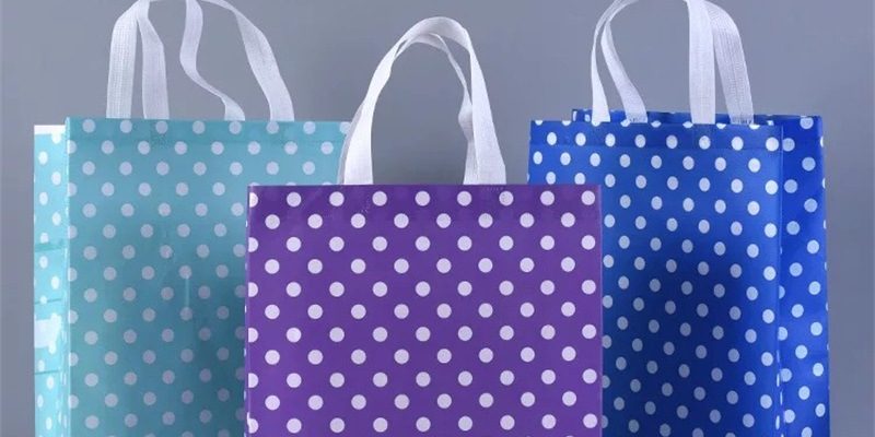 Manufacturer Customized Non-Woven Bags (3)