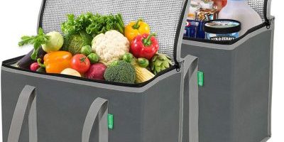 Non Woven Folding Cooler & Lunch Bags (5)