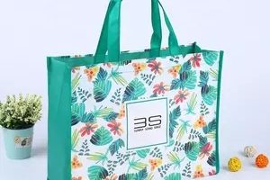Non woven bag