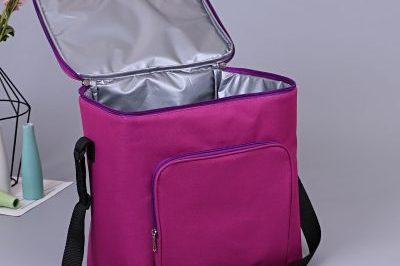 Portable Aluminum Foil Cooler & Lunch Bags (3)