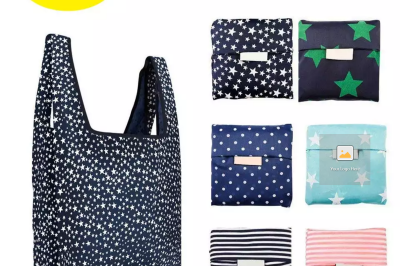 Reusable Shopping Grocery Pouch Bags (1)