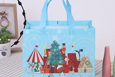 Takeaway Advertising Non Woven Bag (2)