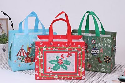 Takeaway Advertising Non Woven Bag (4)